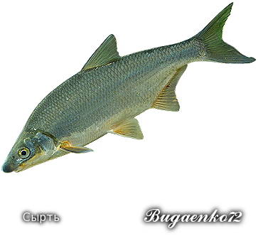 https://upforme.ru/uploads/001c/ac/32/2/97495.png