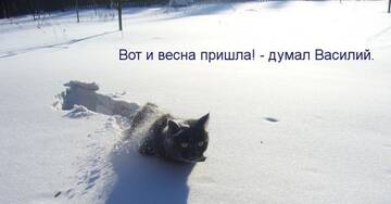 https://upforme.ru/uploads/001c/ad/64/2/t105691.jpg