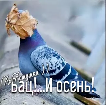 https://upforme.ru/uploads/001c/ad/64/2/t152895.webp