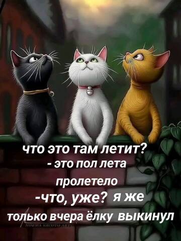 https://upforme.ru/uploads/001c/ad/64/2/t20240.jpg