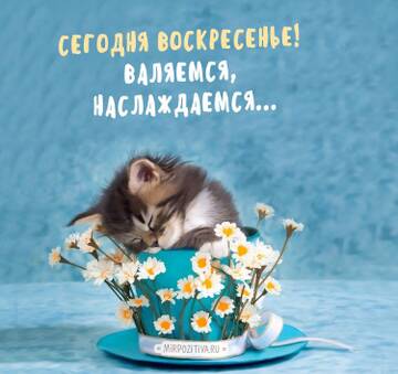 https://upforme.ru/uploads/001c/ad/64/2/t208163.jpg