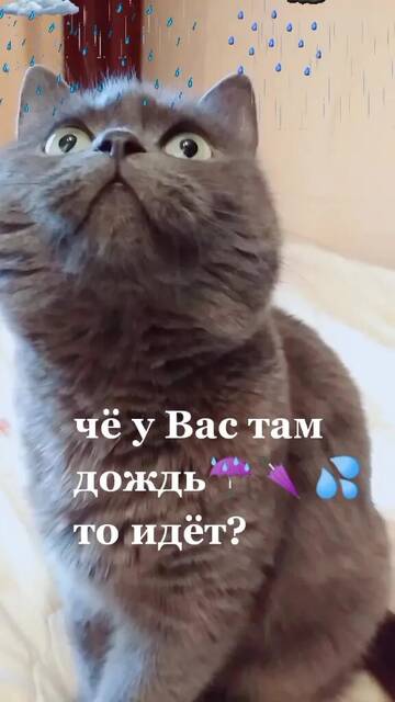 https://upforme.ru/uploads/001c/ad/64/2/t221409.jpg