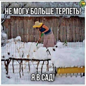 https://upforme.ru/uploads/001c/ad/64/2/t233191.jpg