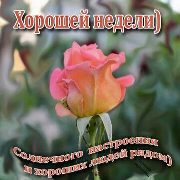 https://upforme.ru/uploads/001c/ad/64/2/t265233.jpg