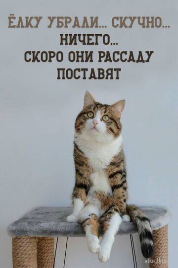 https://upforme.ru/uploads/001c/ad/64/2/t27206.jpg
