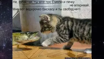 https://upforme.ru/uploads/001c/ad/64/2/t324083.webp
