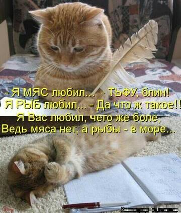 https://upforme.ru/uploads/001c/ad/64/2/t362001.jpg