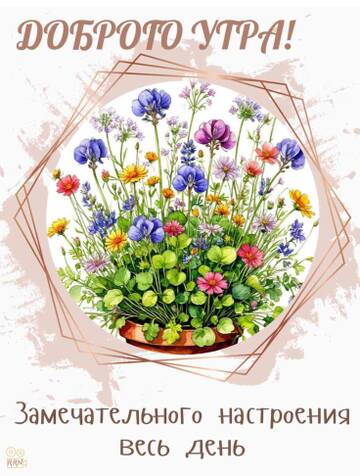 https://upforme.ru/uploads/001c/ad/64/2/t372163.jpg
