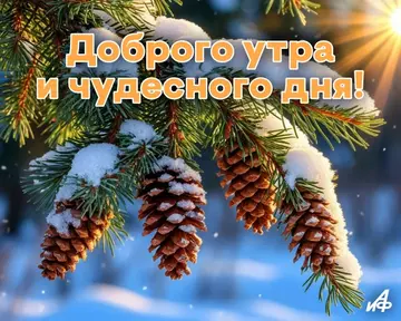 https://upforme.ru/uploads/001c/ad/64/2/t382722.webp