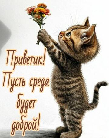 https://upforme.ru/uploads/001c/ad/64/2/t458309.jpg