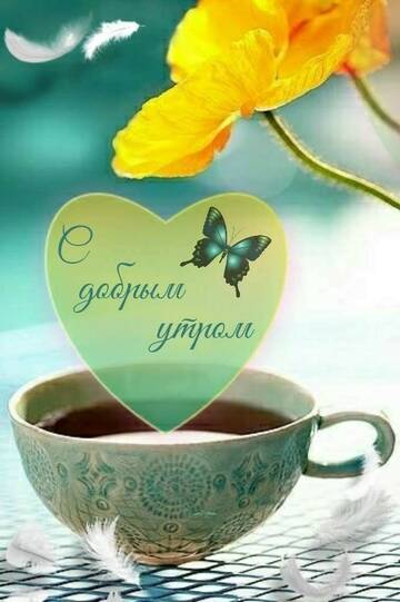 https://upforme.ru/uploads/001c/ad/64/2/t48607.jpg