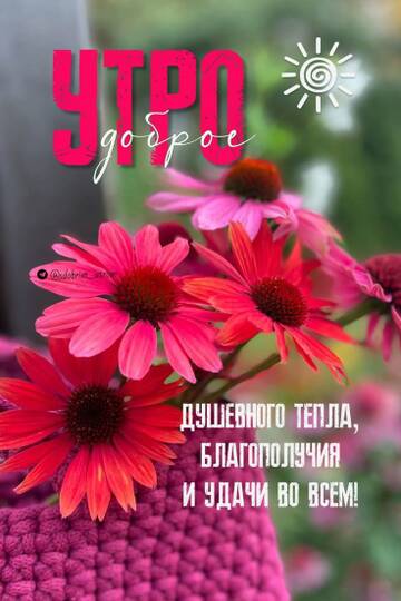 https://upforme.ru/uploads/001c/ad/64/2/t52644.jpg