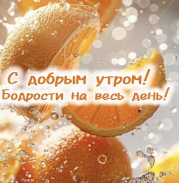 https://upforme.ru/uploads/001c/ad/64/2/t619783.jpg