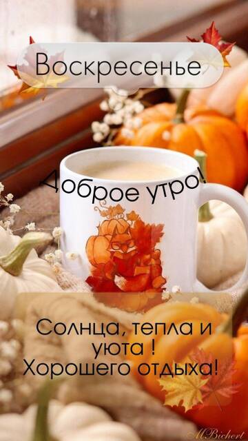https://upforme.ru/uploads/001c/ad/64/2/t646256.jpg