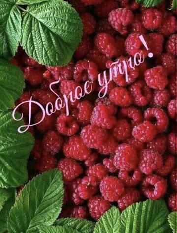https://upforme.ru/uploads/001c/ad/64/2/t661414.jpg