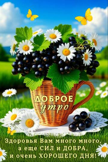 https://upforme.ru/uploads/001c/ad/64/2/t692992.jpg