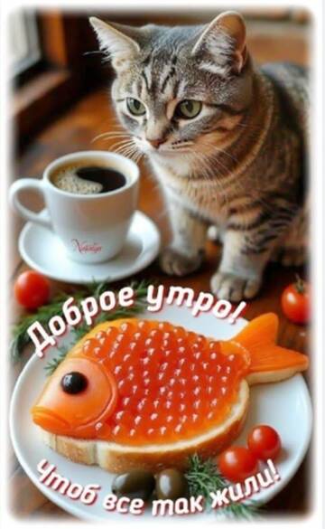 https://upforme.ru/uploads/001c/ad/64/2/t700899.jpg