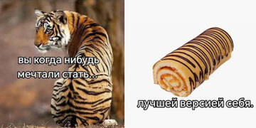 https://upforme.ru/uploads/001c/ad/64/2/t737599.jpg