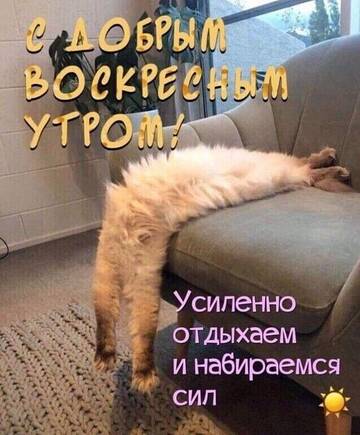 https://upforme.ru/uploads/001c/ad/64/2/t80977.jpg