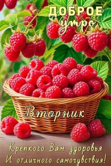 https://upforme.ru/uploads/001c/ad/64/2/t810877.jpg