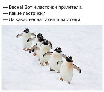 https://upforme.ru/uploads/001c/ad/64/2/t813634.jpg