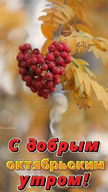 https://upforme.ru/uploads/001c/ad/64/2/t816970.jpg