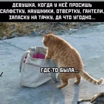 https://upforme.ru/uploads/001c/ad/64/2/t870368.jpg