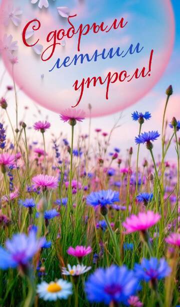 https://upforme.ru/uploads/001c/ad/64/2/t958358.jpg
