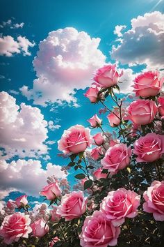 https://upforme.ru/uploads/001c/ad/64/2/t959724.jpg