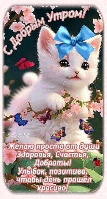 https://upforme.ru/uploads/001c/ad/64/2/t963202.jpg