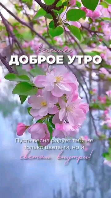 https://upforme.ru/uploads/001c/ad/64/8/t484106.jpg
