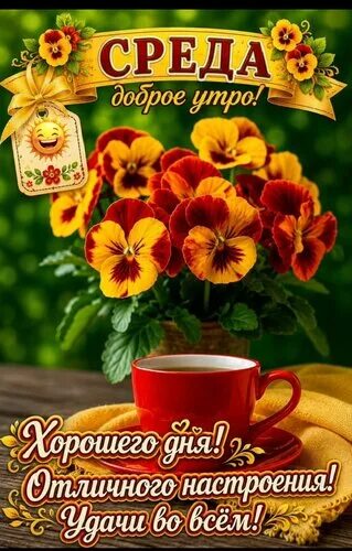 https://upforme.ru/uploads/001c/ad/64/8/t531459.jpg