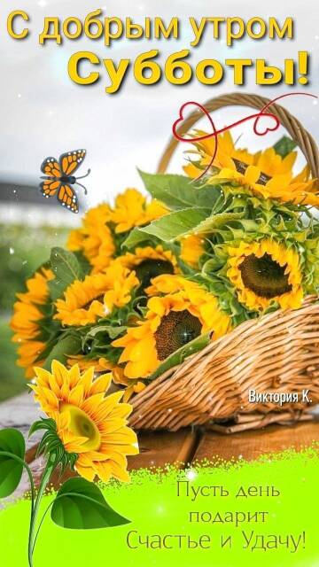 https://upforme.ru/uploads/001c/ad/64/8/t645236.jpg