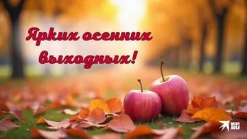 https://upforme.ru/uploads/001c/ad/64/8/t738836.jpg