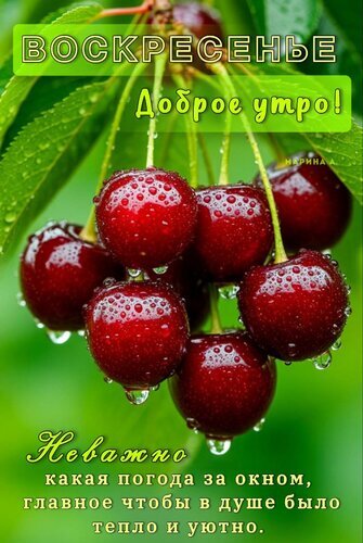 https://upforme.ru/uploads/001c/ad/64/8/t940407.jpg