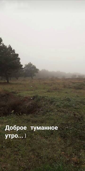 https://upforme.ru/uploads/001c/ad/64/8/t978425.jpg