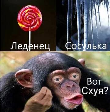 https://upforme.ru/uploads/001c/ae/07/2/t317160.jpg