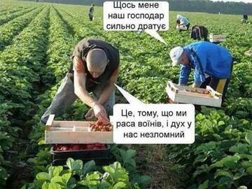 https://upforme.ru/uploads/001c/ae/07/2/t526362.jpg