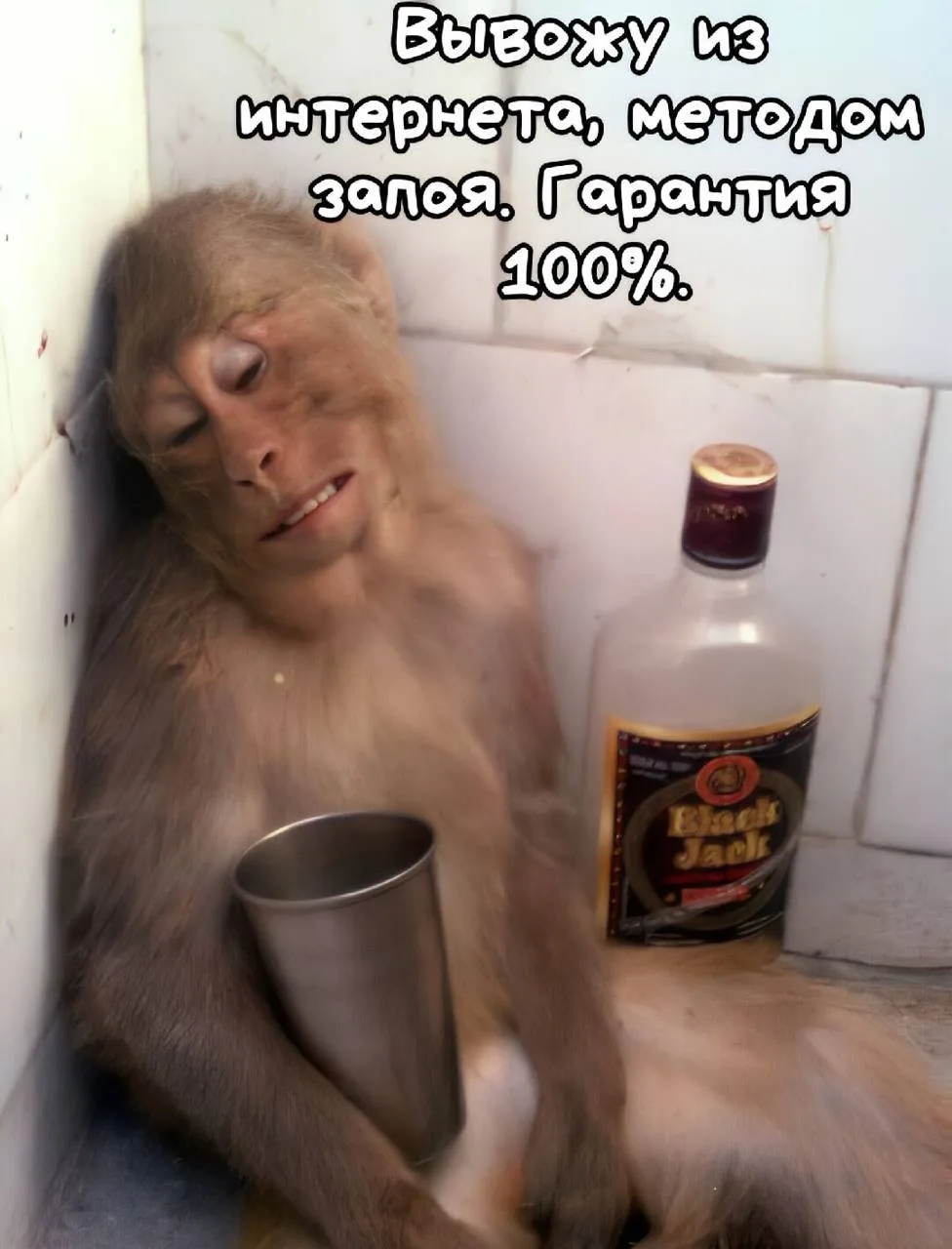 https://upforme.ru/uploads/001c/ae/07/6/824305.webp
