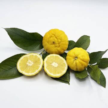https://upforme.ru/uploads/001c/ae/9b/2/t138489.jpg