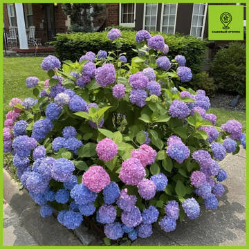 https://upforme.ru/uploads/001c/ae/9b/2/t590888.jpg