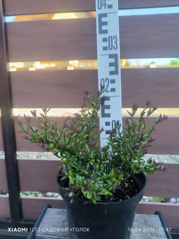 https://upforme.ru/uploads/001c/ae/9b/2/t620640.jpg