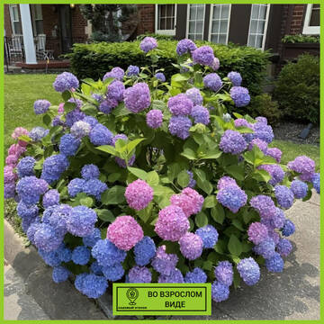 https://upforme.ru/uploads/001c/ae/9b/2/t855770.jpg