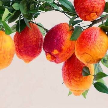https://upforme.ru/uploads/001c/ae/9b/2/t957930.jpg
