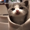 https://upforme.ru/uploads/001c/b1/c6/8/235359.gif