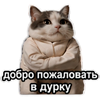 https://upforme.ru/uploads/001c/b1/c6/8/666689.png