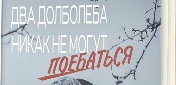 https://upforme.ru/uploads/001c/b2/35/647/198990.jpg