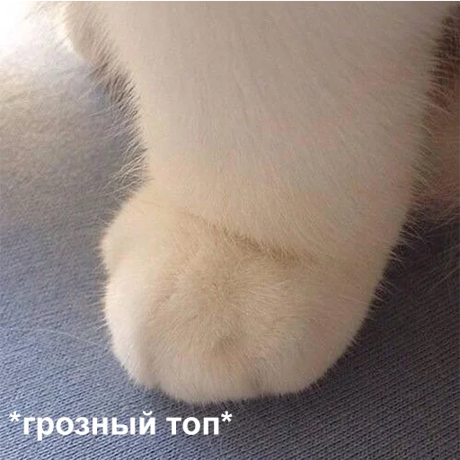 https://upforme.ru/uploads/001c/b3/c1/4/170624.webp
