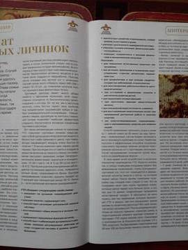 https://upforme.ru/uploads/001c/b4/41/11/819969.jpg
