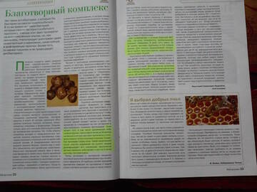 https://upforme.ru/uploads/001c/b4/41/11/t955095.jpg